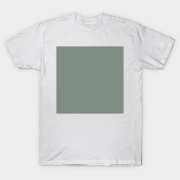 Solid Pastel Green T-Shirt by summer-sun-art